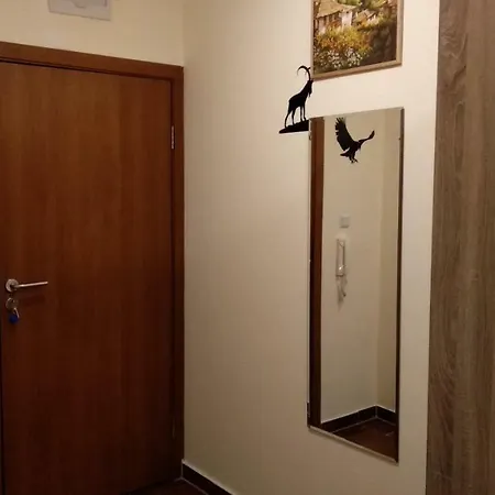Pine Tree 2 - B7 Apartment Bansko