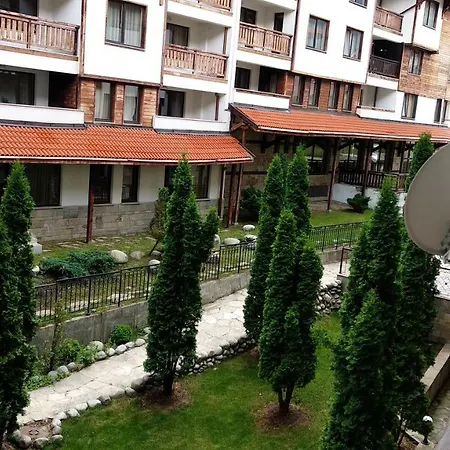 Pine Tree 2 - B7 *