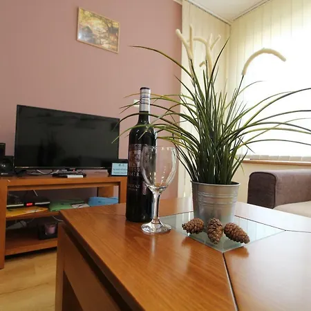 Apartment Pine Tree 2 - B7 *