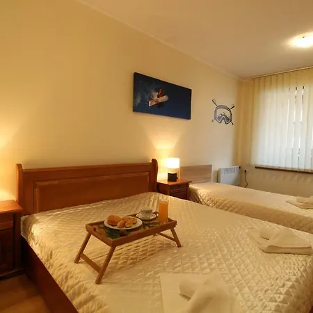 Pine Tree 2 - B7 Apartman Banszko
