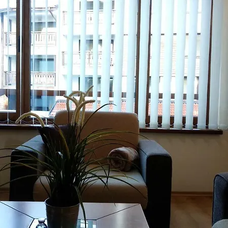 Pine Tree 2 - B7 * بانسكو