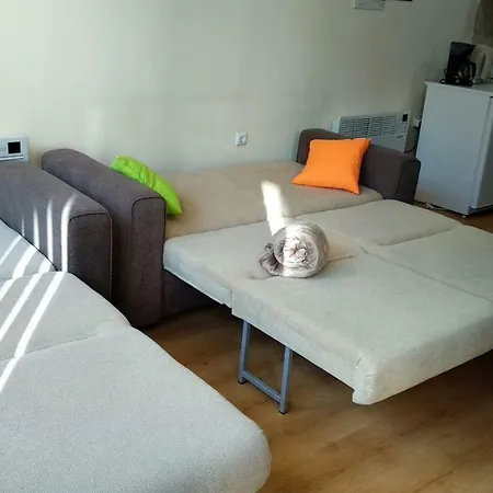 Pine Tree 2 - B7 * Bansko