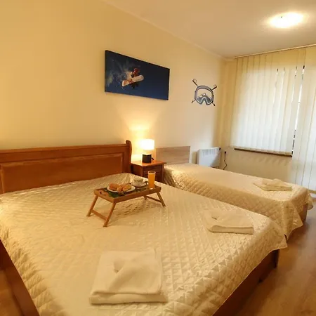 Pine Tree 2 - B7 Bansko