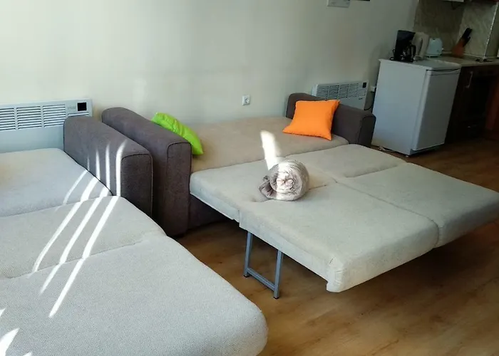 Pine Tree 2 - B7 * Bansko