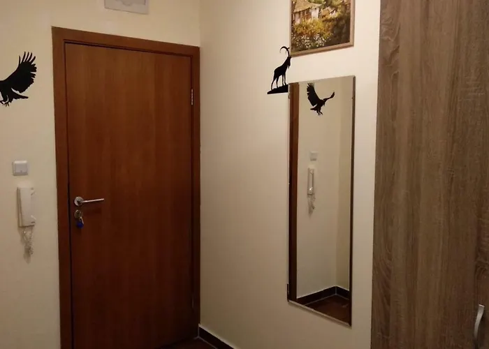 Pine Tree 2 - B7 Apartment Bansko