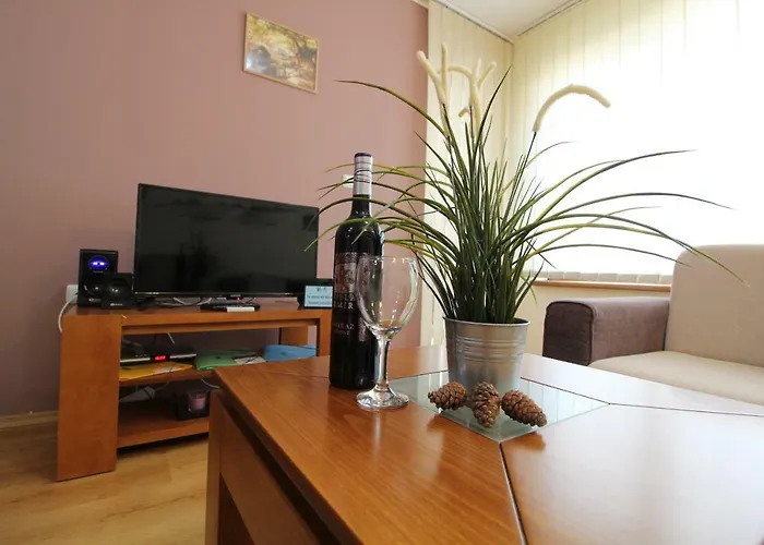 Apartment Pine Tree 2 - B7 *