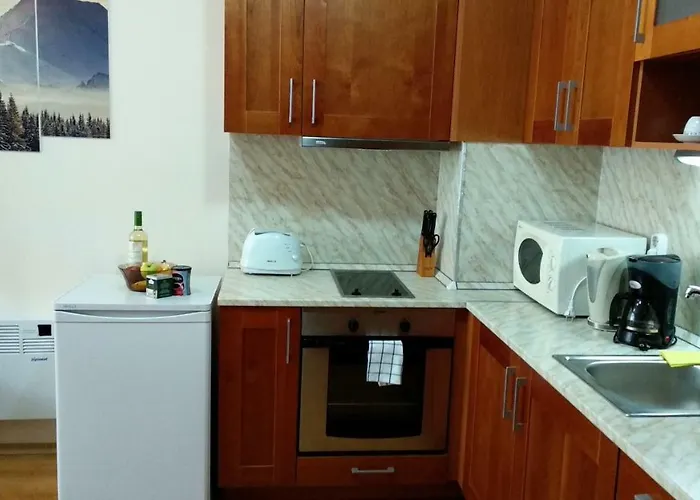 Pine Tree 2 - B7 Bansko