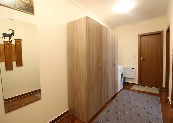 Apartment Pine Tree 2 - B7 Bansko